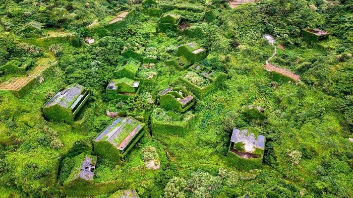 This picture taken on June 1, 2018 shows abandoned village houses covered with overgrown vegetation in Houtouwan on Shengshan island, China's eastern Zhejiang province. - Houtouwan was a thriving fishing community of sturdy brick homes that climb up the steeply hilled island of Shenghshan, but is now abandoned, with entire houses completely overgrown as if vacuum-sealed in a lush layer of green. (Photo by Johannes EISELE / AFP) (Photo credit should read JOHANNES EISELE/AFP/Getty Images)