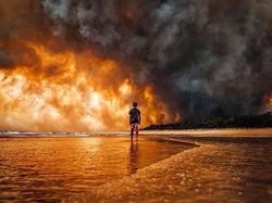 Potret Viral Kebakaran Australia yang Ngeri dan Mengharukan