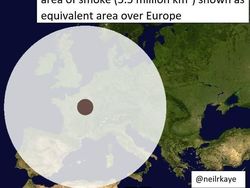 Potret Viral Kebakaran Australia yang Ngeri dan Mengharukan