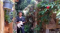 Rumah kelinci jadi salah satu wahana favorit wisatawan di Taman Satwa Cikembulan. Ada berbagai jenis kelinci dipelihara di sini. (Hakim Ghani/detikcom)