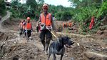 Korban Longsor di Sukajaya Belum Ditemukan