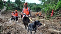 Sejumlah anggota Basarnas, TNI dan Polri melakukan pencarian korban tanah longsor di Kampung Sinar Harapan, Desa Harkat Jaya, Kecamatan Sukajaya, Kabupaten Bogor, Jawa Barat, Selasa (7/1/2020).