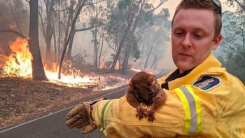 Pemadam kebakaran menyelamatkan hewan liar yang malang. Foto: Bored Panda