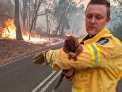 Potret Viral Kebakaran Australia yang Ngeri dan Mengharukan
