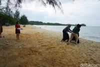Segaris Pantai dengan Dua Nama