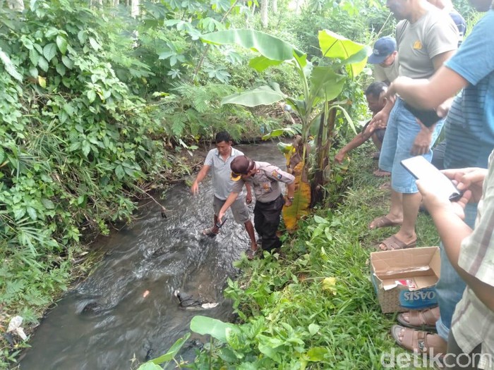 Jasad Bayi Tersangkut Batu Sungai Gegerkan Warga Blitar