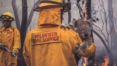 Potret Viral Kebakaran Australia yang Ngeri dan Mengharukan