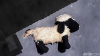 Sebuah boneka kambing yang rusak akibat banjir dibiarkan begitu saja.