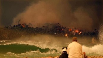 Seorang pria dan anjingnya menatap dengan pasrah kebakaran di depan. Foto: Bored Panda