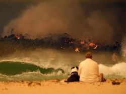 Potret Viral Kebakaran Australia yang Ngeri dan Mengharukan