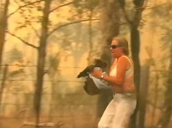 Potret Viral Kebakaran Australia yang Ngeri dan Mengharukan