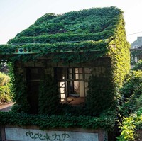 Jika kamu tertarik untuk berkunjung, tiket masuk dari desa ini dijual dengan harga 50 yen atau hanya sekitar Rp 6 ribu sesuai yang telah ditetapkan oleh pemerintah daerah tersebut. Barang-barang peninggalan dari para penduduk yang masih lengkap menambah suasana menegangkan dari desa hantu hijau. Foto: Johannes EISELE / AFP