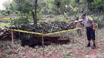 Begini Penampakan Lubang yang Kembali Muncul di Gunungkidul