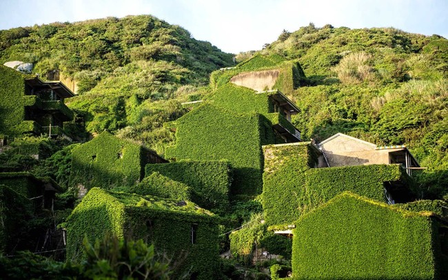 Desa dengan nama Houtouwan yang hampir seluruhnya tertutup oleh lumut sehingga tidak terlihat ini ada di Pulau Shengshan, China. Desa ini terletak di kepulauan Shengsi yang berjarak sekitar 40 mil atau 64 ribu km dari Shanghai dan memiliki sekitar 400 pulau. Pada tahun 1950, desa Houtouwan terkenal sebagai kota nelayan. Foto: Johannes EISELE / AFP