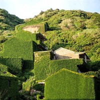 Desa dengan nama Houtouwan yang hampir seluruhnya tertutup oleh lumut sehingga tidak terlihat ini ada di Pulau Shengshan, China. Desa ini terletak di kepulauan Shengsi yang berjarak sekitar 40 mil atau 64 ribu km dari Shanghai dan memiliki sekitar 400 pulau. Pada tahun 1950, desa Houtouwan terkenal sebagai kota nelayan. Foto: Johannes EISELE / AFP