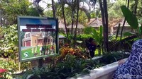 Taman Satwa Cikembulan ini berada di Kecamatan Kadungora, Garut. Lokasinya asri dan sejuk karena banyak pepohonan. (Hakim Ghani/detikcom)