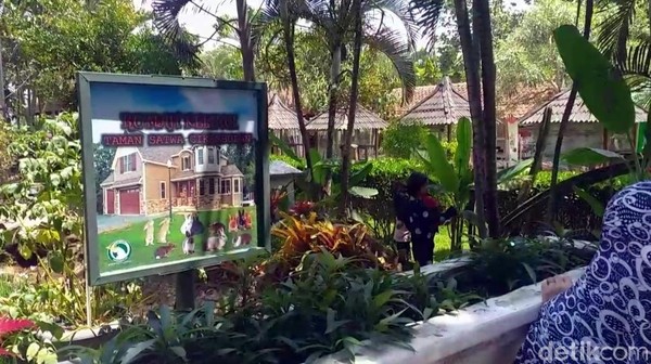 Taman Satwa Cikembulan ini berada di Kecamatan Kadungora, Garut. Lokasinya asri dan sejuk karena banyak pepohonan. (Hakim Ghani/detikcom) Taman Satwa Cikembulan ini berada di Kecamatan Kadungora, Garut. Lokasinya asri dan sejuk karena banyak pepohonan. (Hakim Ghani/detikcom)