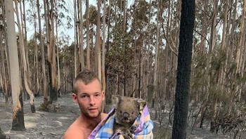 Seekor koala diselamatkan. Foto: Bored Panda