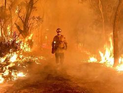 Potret Viral Kebakaran Australia yang Ngeri dan Mengharukan