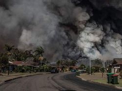 Potret Viral Kebakaran Australia yang Ngeri dan Mengharukan