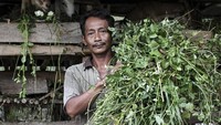Joni Iskandar merupakan salah satu warga Desa Pagar Desa yang mendapatkan bantuan sapi bergulir dari PT Bumi Persada Permai melalui program Desa Makmur Peduli Api (DMPA). 