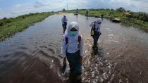 Semangat Pelajar di Jambi Bersekolah Terjang Banjir