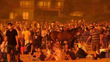 Penduduk yang terjebak dan menunggu evakuasi. Bahkan asa seekor kuda ikut dibawa ke sana. Foto: Bored Panda