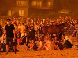 Potret Viral Kebakaran Australia yang Ngeri dan Mengharukan