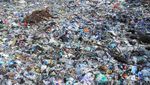 Duh, Sampah Menumpuk di Pesisir Pamekasan