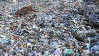 Sampah-sampah tersebut nampak didominasi dengan sampah rumah tangga dan sampah plastik.