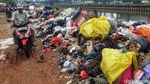 Banjir Surut, Sampah Menumpuk di Cengkareng
