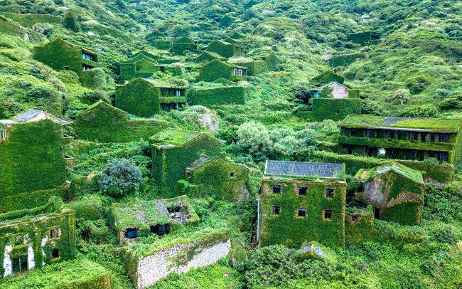 Setelah ditinggalkan oleh para penduduknya hampir selama 30 tahun, desa Houtouwan menjadi terabaikan dan banyak ditumbuhi oleh tumbuh-tumbuhan hijau seperti pakis dan tanaman merambat lainnya. Saat desa ini ditemukan kembali pada tahun 2015, desa Houtouwan justru telah menjadi destinasi bagi para pelancong dan dikenal dengan sebutan desa hantu hijau. Foto: Johannes EISELE / AFP