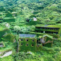 Setelah ditinggalkan oleh para penduduknya hampir selama 30 tahun, desa Houtouwan menjadi terabaikan dan banyak ditumbuhi oleh tumbuh-tumbuhan hijau seperti pakis dan tanaman merambat lainnya. Saat desa ini ditemukan kembali pada tahun 2015, desa Houtouwan justru telah menjadi destinasi bagi para pelancong dan dikenal dengan sebutan desa hantu hijau. Foto: Johannes EISELE / AFP