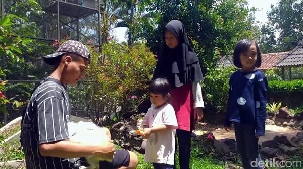 Puluhan kelinci berbagai jenis ada di sini. Mulai dari kelinci jenis anggora hingga jenis fuzzy lop. (Hakim Ghani/detikcom) Puluhan kelinci berbagai jenis ada di sini. Mulai dari kelinci jenis anggora hingga jenis fuzzy lop. (Hakim Ghani/detikcom)