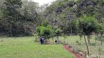 Begini Penampakan Lubang yang Kembali Muncul di Gunungkidul