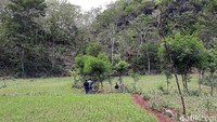 Lokasi lubang berada di Dusun Tlaseh, Desa Karangawen, Girisubo. Munculnya lubang itu pertama kali diketahui oleh pemilik lahan, Susanto, pada Minggu (5/1).