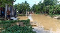 Menurut Camat Kayen, Didik Rusdiantono, ada 9 desa di Kecamatan Kayen yang terendam banjir siang ini, Selasa (7/1/2020).