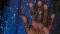Seorang gadis meletakkan tangannya di pintu rumahnya di negara bagian Borno, Nigeria pada bulan Juni 2019 lalu. UNICEF mengutuk Nigeria yang menggunakan anak-anak sebagai tameng untuk bom dalam konflik. Laporan menyebutkan bahwa tiga anak digunakan sebagai bom manusia dan menewaskan 30 orang dan melukai puluhan lainnya di kawasan Kondogo, Borno. Sejak 2012, kelompok bersenjata di Nigeria merekrut dan menggunakan anak-anak sebagai tameng perang. Bahkan anak-anak diperkosa hingga melakukan pelanggaran berat. Beberapa gadis hamil dalam penahanan dan melahirkan tanpa bantuan medis. Istimewa/UNICEF/Kokic.