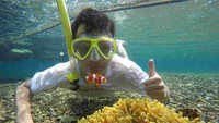 Para pecinta nemo harus datang nih ke Pulau Pahawang. Pulau ini berada di Kecamatan Marga Punduh, kabupaten Pesawaran. Kalau mau ke sini kamu harus menggunakan kapal. (Robin/dTraveler)