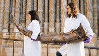 Dua orang ilmuwan di Natural History Museum atau Museum Sejarah Alam di Kota London, membawa spesimen tanduk Erumpent yang menjadi salah satu benda yang akan ditampilkan dalam pameran bertajuk Fantastic Beasts: The Wonder of Nature pada awal musim semi 2020 ini di Kota London, Inggris.