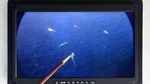 Makin Panas! Begini Potret Siaga RI di Laut Natuna