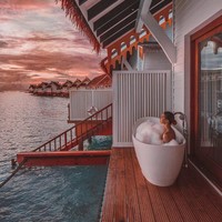 Foto: Instagram @taramilktea