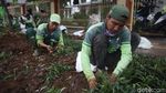 Tanaman Hijau Percantik Trotoar Jl Kramat Raya