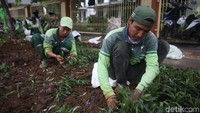 Selain lebih sedap dipandang, juga untuk membuat suasana asri dan nyaman.