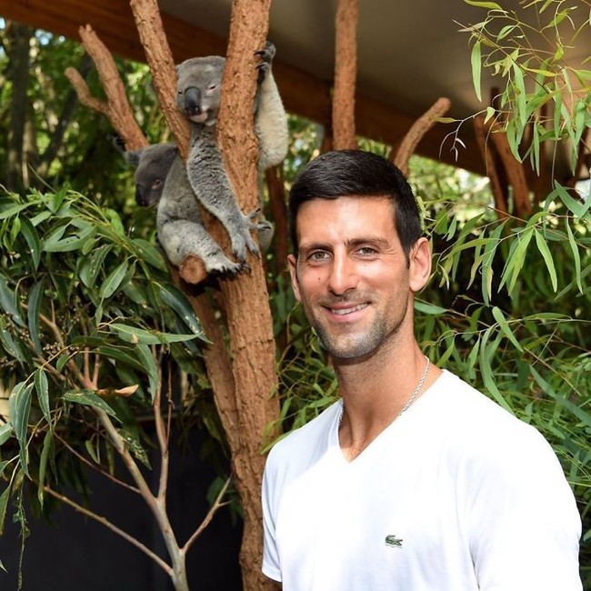 Petenis Novak Djokovic ikut menyumbangkan dana USD 17 ribu atau sekitar Rp 236 juta. Foto: Instagram