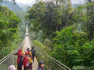 Gunung Gede Pangrango Bagian Sukabumi Tiadakan Kemping hingga Akhir Pekan