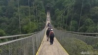 Situ gunung di kawasan Taman Nasional Gunung Gede Pangrango Sukabumi menjadi jembatan terpanjang se-asia. Panjangnya menvapai 250, dengan ketinggian 150 meter. (Tasya/detikcom)