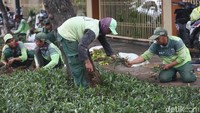 Petugas Suku Dinas Kehutanan Jakarta Pusat melakukan penghijauan secara gotong-royong.