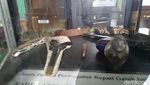 Foto: Ada Ratusan Benda Berusia Ratusan Tahun di Museum Ciamis Ini
