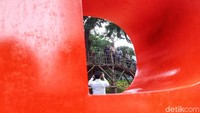 Warga tengah berfoto di Taman Kebon Jeruk, Jakarta Barat, Rabu (8/1/2020).